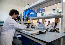Células modificadas por la genética: el arma contra el cáncer que investigan el Imibic y el Hospital Reina Sofía