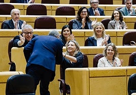 El Senado exige al Gobierno implementar el plan de inmigración del PP