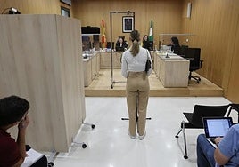 Bajan las denuncias por violencia machista en Córdoba, pero más de 2.400 mujeres siguen bajo protección policial