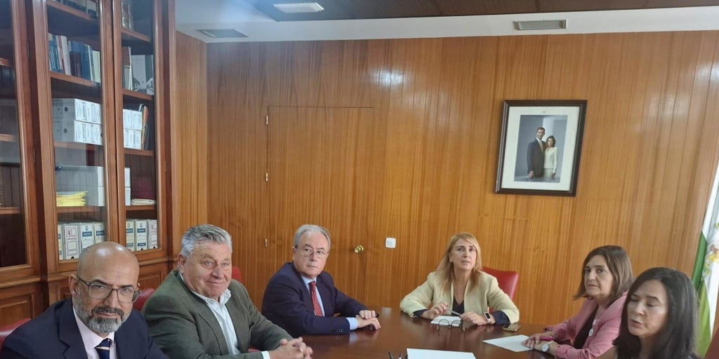 El Gobierno condiciona dar marcha atrás en el  apagón  de Córdoba a proyectos empresariales «reales y maduros» en las zonas afectadas