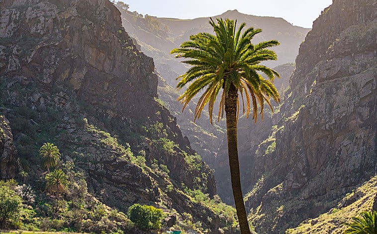 Imagen principal - Agaete (Gran Canaria), Mejor Pueblo Turístico 2025 por la ONU