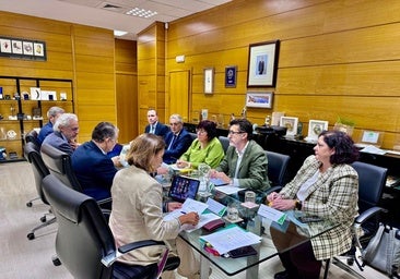 Antonio Sanz escucha las reivindicaciones del Consejo Andaluz de Enfermería para mejorar la situación de la Sanidad