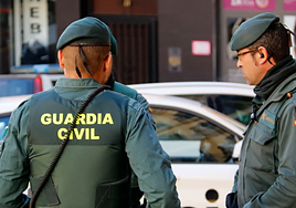 La Guardia Civil rescata 52 perros hacinados en condiciones de insalubridad en Madrid