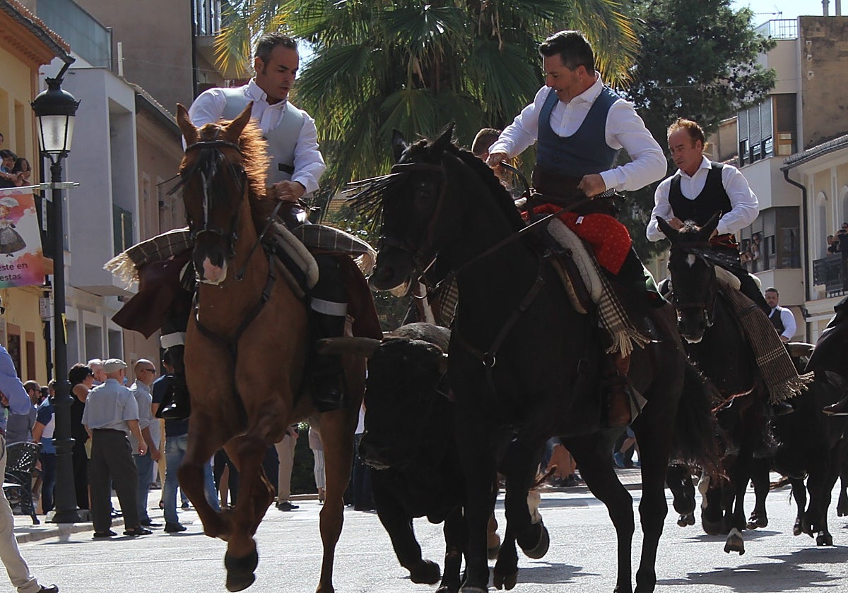 Imagen de la entrada de toros y caballos de Cheste