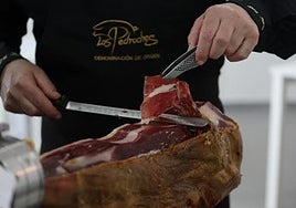 La Diputación de Córdoba rechaza la decisión del Ministerio y defenderá la pureza del cerdo ibérico de Los Pedroches