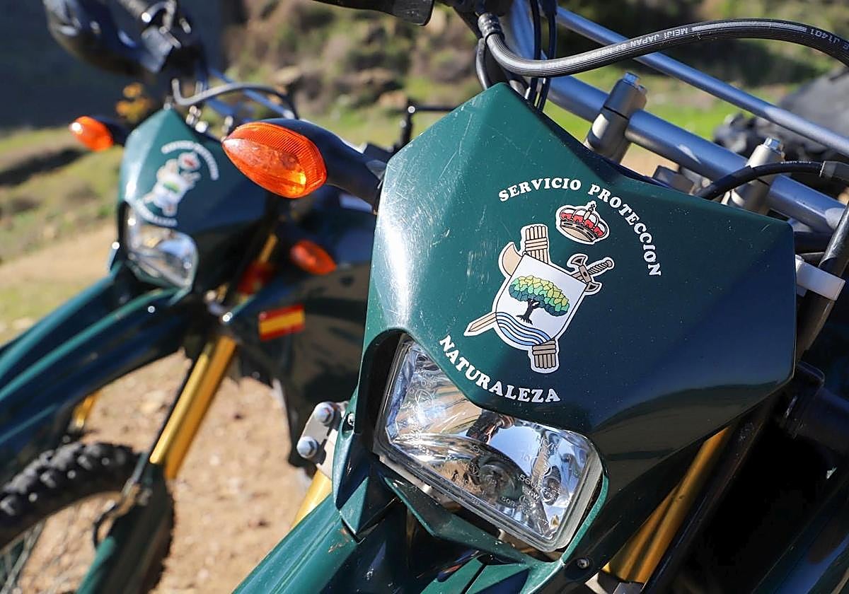 La Guardia Civil investiga a un vecino de Priego de Córdoba por caza furtiva de jabalíes