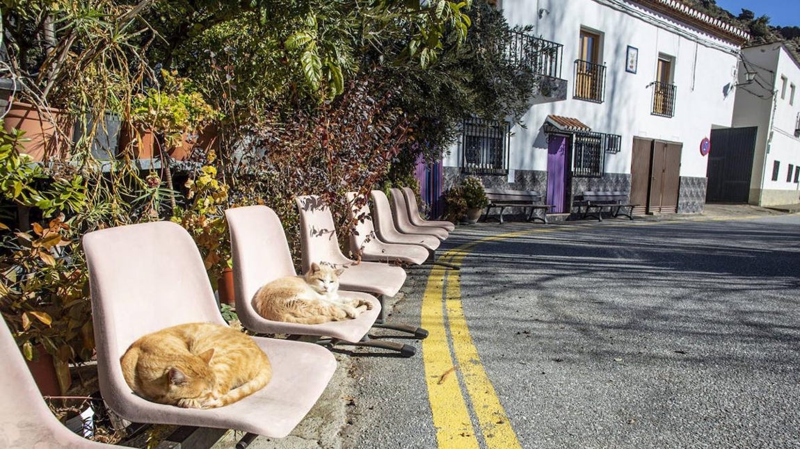 Se considera fundamental la fijación de población en entornos rurales y la atracción de nuevos posibles pobladores