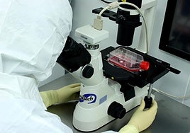 Buscan voluntarios para investigar cómo influyen cambios hormonales en la salud cardiovascular de la mujer