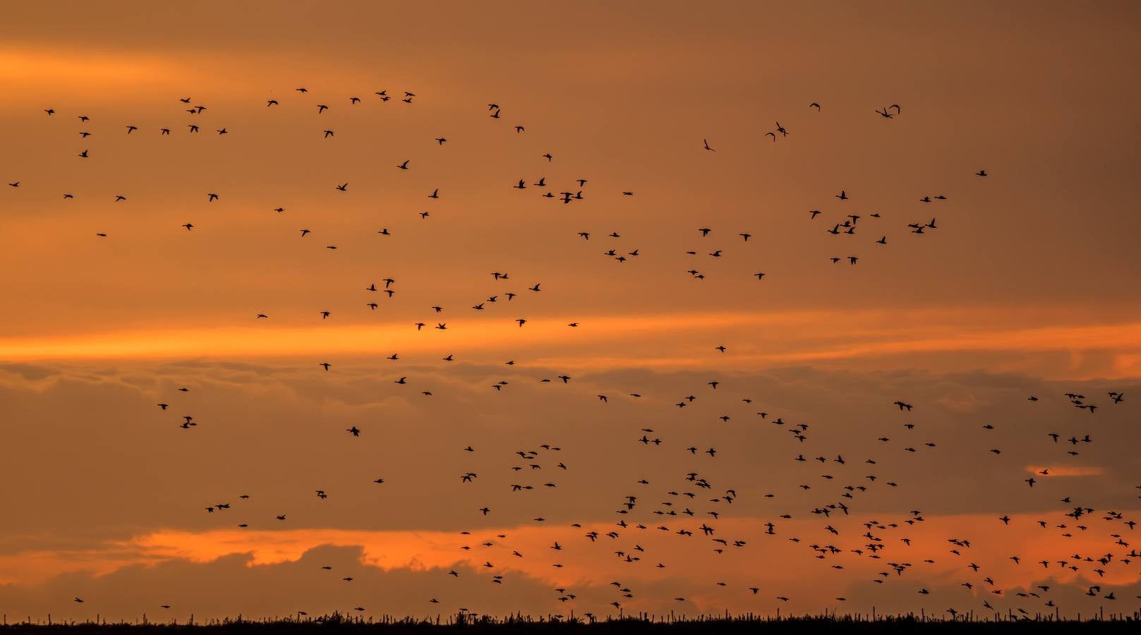 Esplendor otoñal en la finca Veta La Palma en el entorno de Doñana