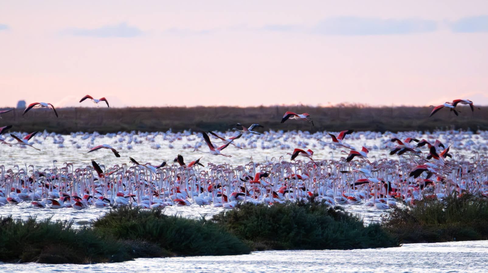 Esplendor otoñal en la finca Veta La Palma en el entorno de Doñana