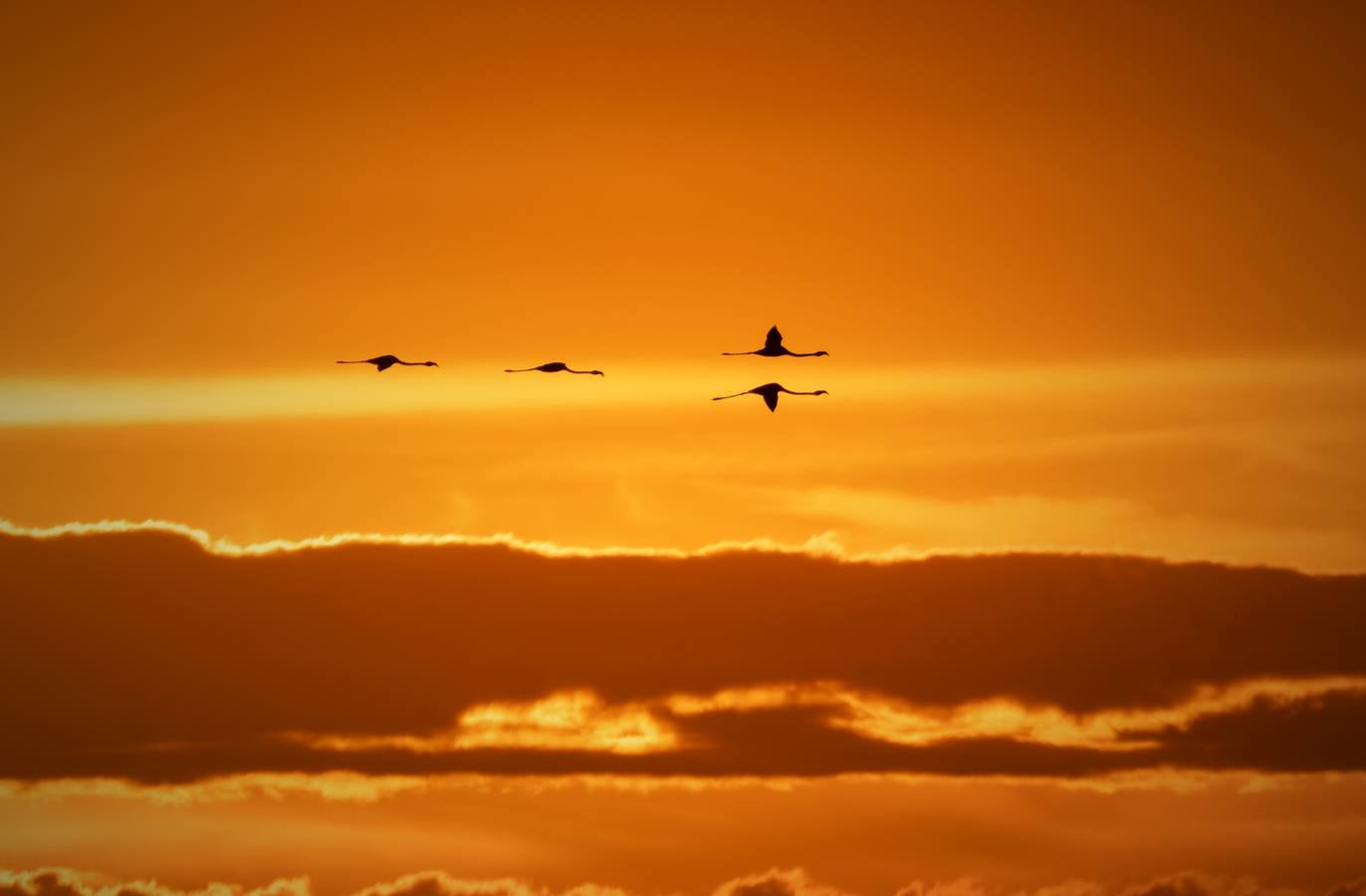 Esplendor otoñal en la finca Veta La Palma en el entorno de Doñana
