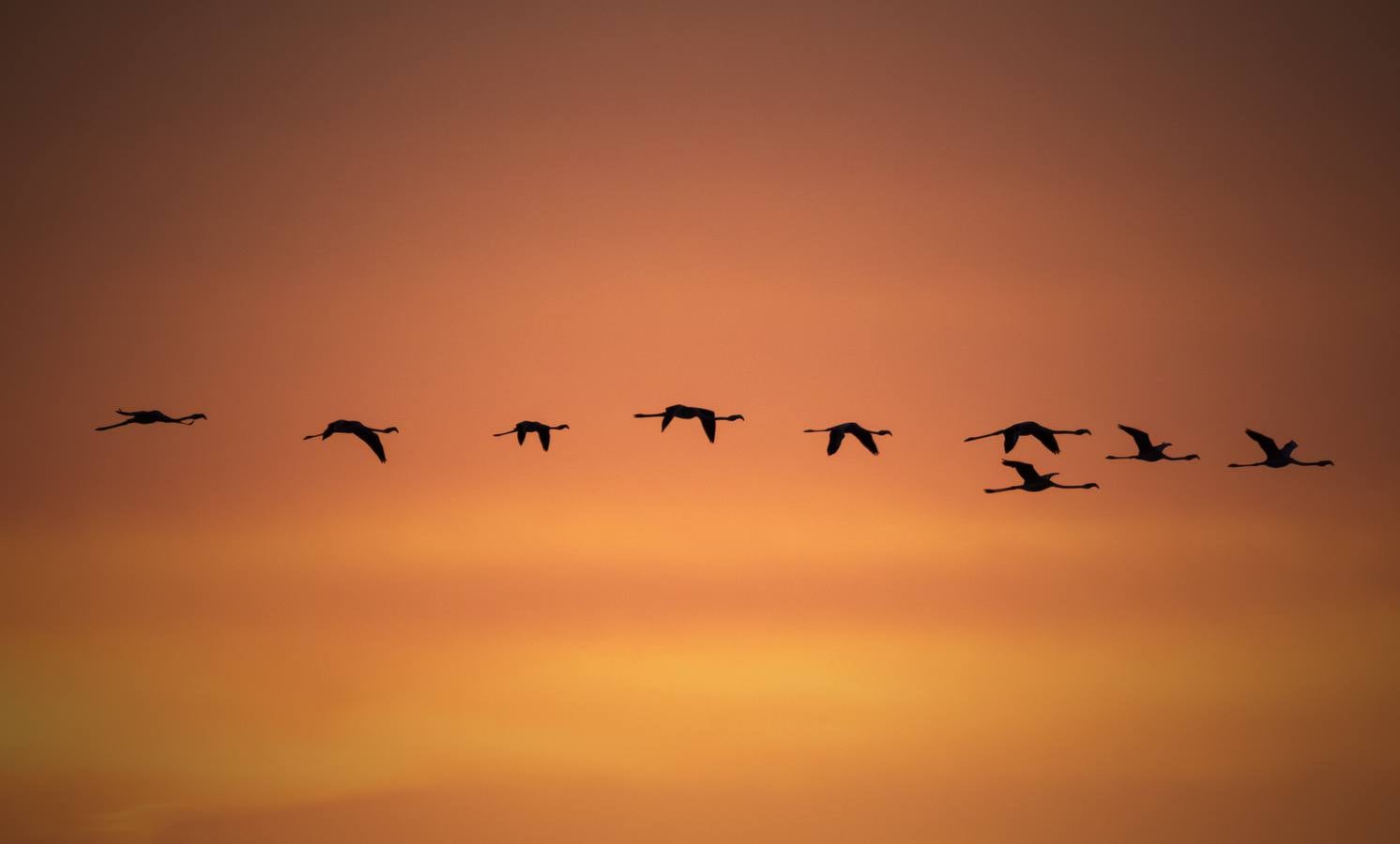 Esplendor otoñal en la finca Veta La Palma en el entorno de Doñana