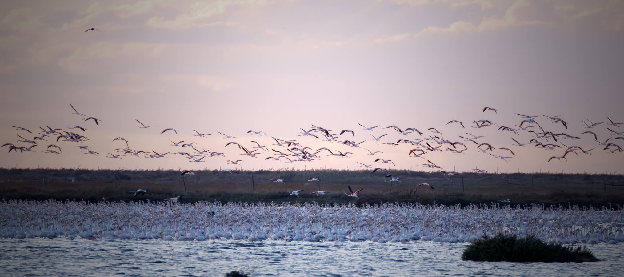 Esplendor otoñal en la finca Veta La Palma en el entorno de Doñana
