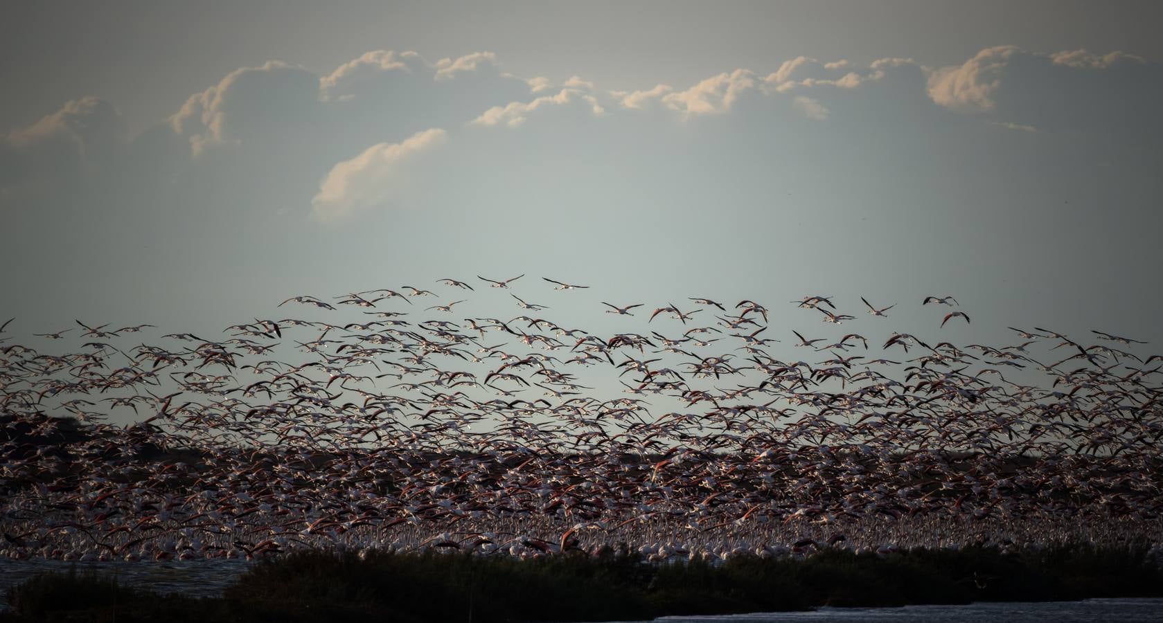Esplendor otoñal en la finca Veta La Palma en el entorno de Doñana