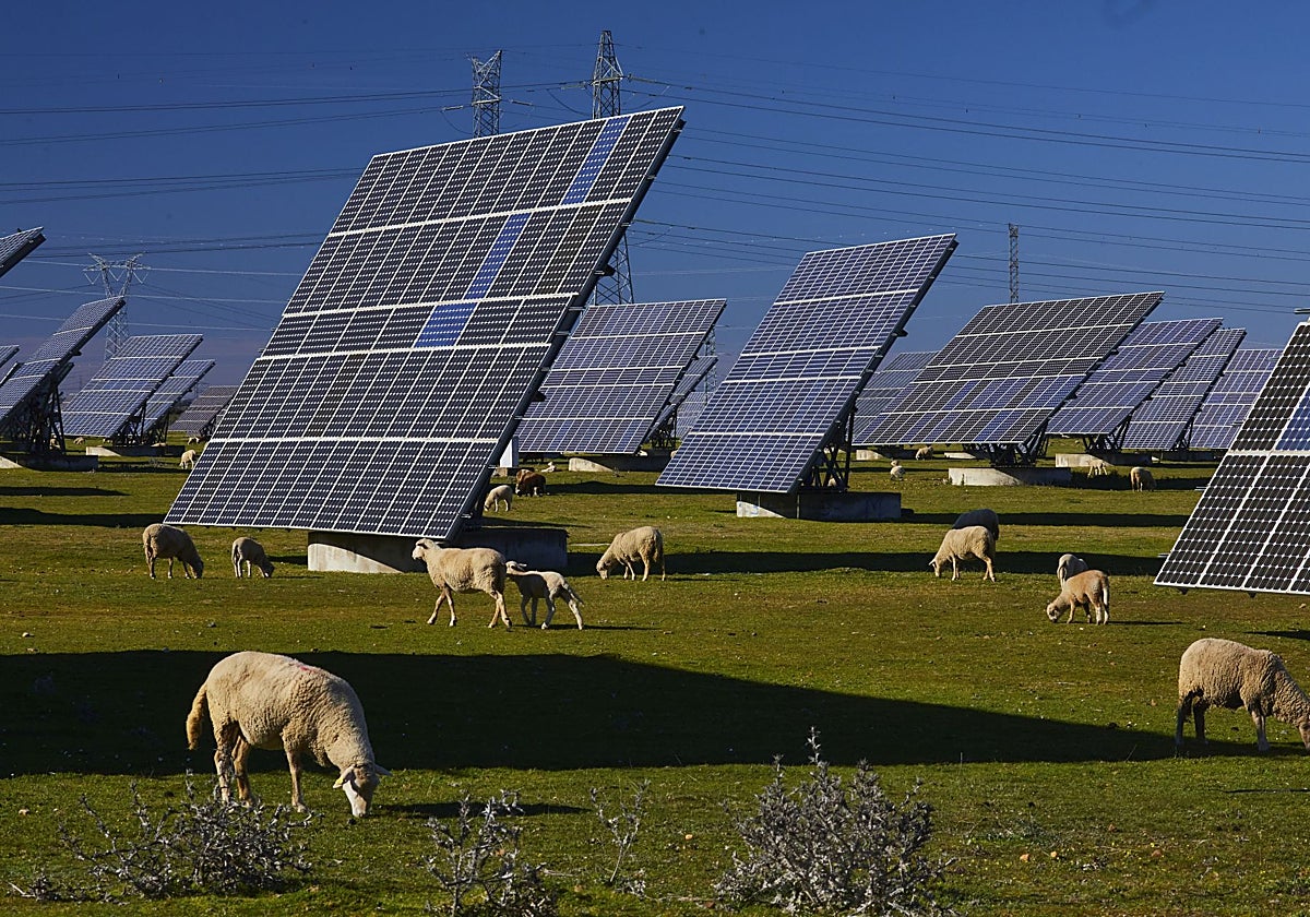 La Junta pone límites a las instalaciones de energías renovables