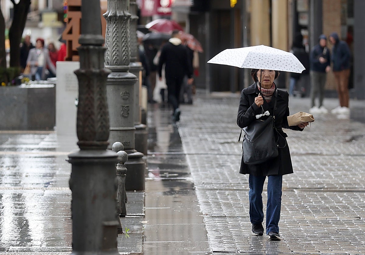 Una mujer se resguarda de las lluvias en Córdoba