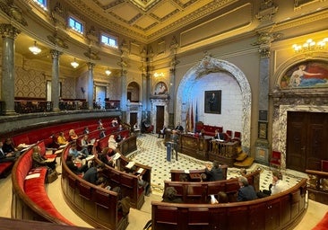Vox tumba la Zona de Bajas Emisiones en Valencia tras votar en contra de la ordenanza