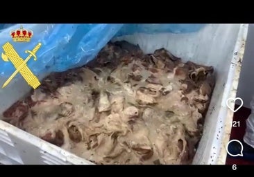 La Guardia Civil halla 9.000 kilos de carne putrefacta en una nave cárnica de Salamanca