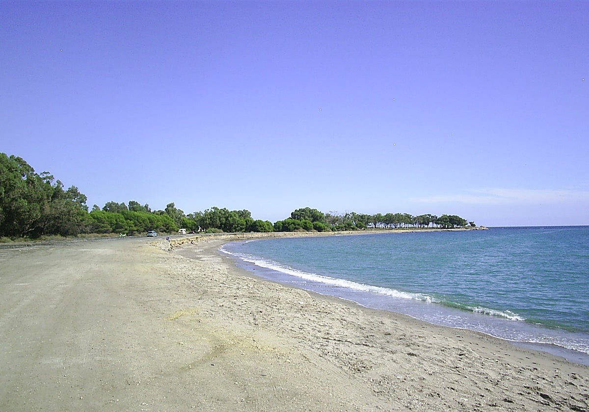 Terrenos en los que está prevista la construcción de 1.500 viviendas
