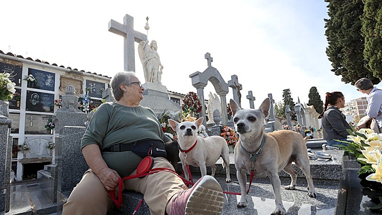 Córdoba se vuelca con la memoria de sus difuntos en los cementerios