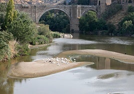 Tolón defiende la actuación de la Confederación del Tajo y Velázquez reclama un Pacto Nacional del Agua