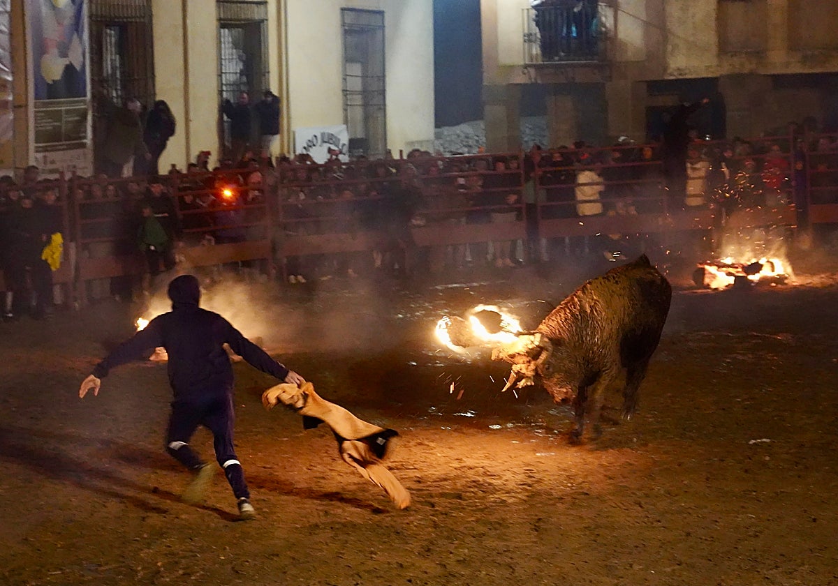 Toro Jubilo en Medinaceli
