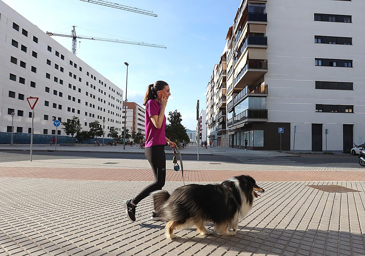 Una joven pasea con su perro por Huerta de Santa Isabel Este, zona de expnasión residencial