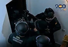 Desarticulada una red que introducía droga a través del aeropuerto con 16 detenidos y 5 millones de euros incautados