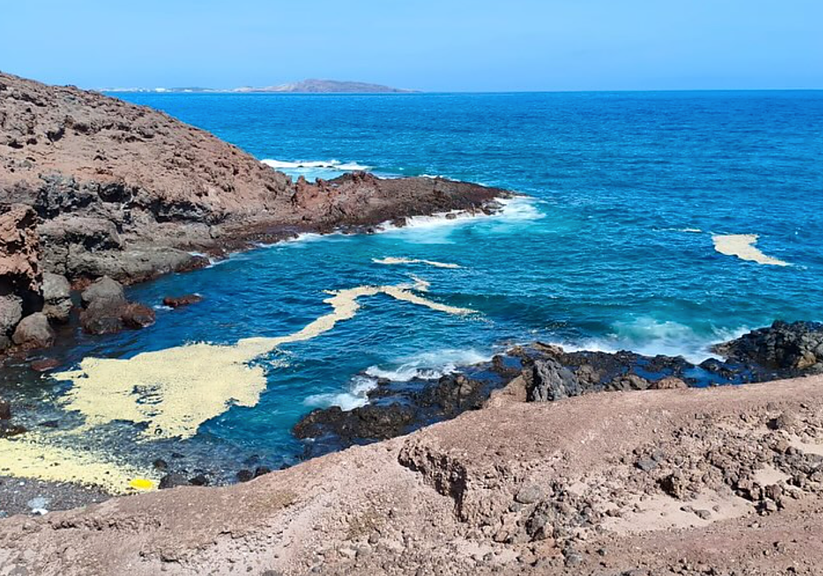 Alerta por contaminación marina en Gran Canaria por la presencia de materia orgánica en descomposición