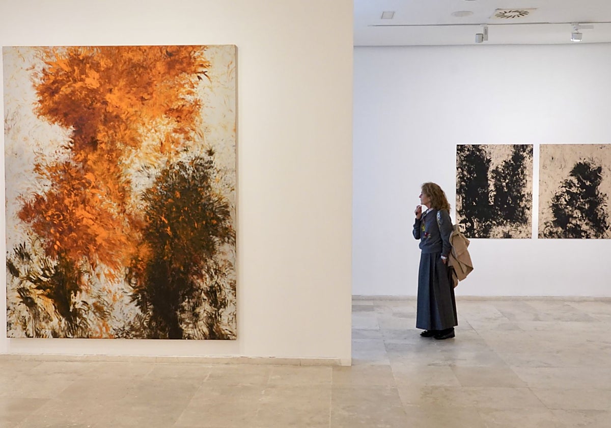 Exposición 'Suite Dánae', de Carlos León, en el Museo Patio Herreriano de Valladolid