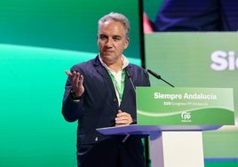 Elías Bendodo, en el XVII Congreso Regional del PP andaluz
