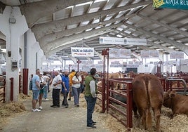 Castilla y León extiende la suspensión de las ferias ganaderas hasta el 30 de noviembre para prevenir la dermatosis nodular