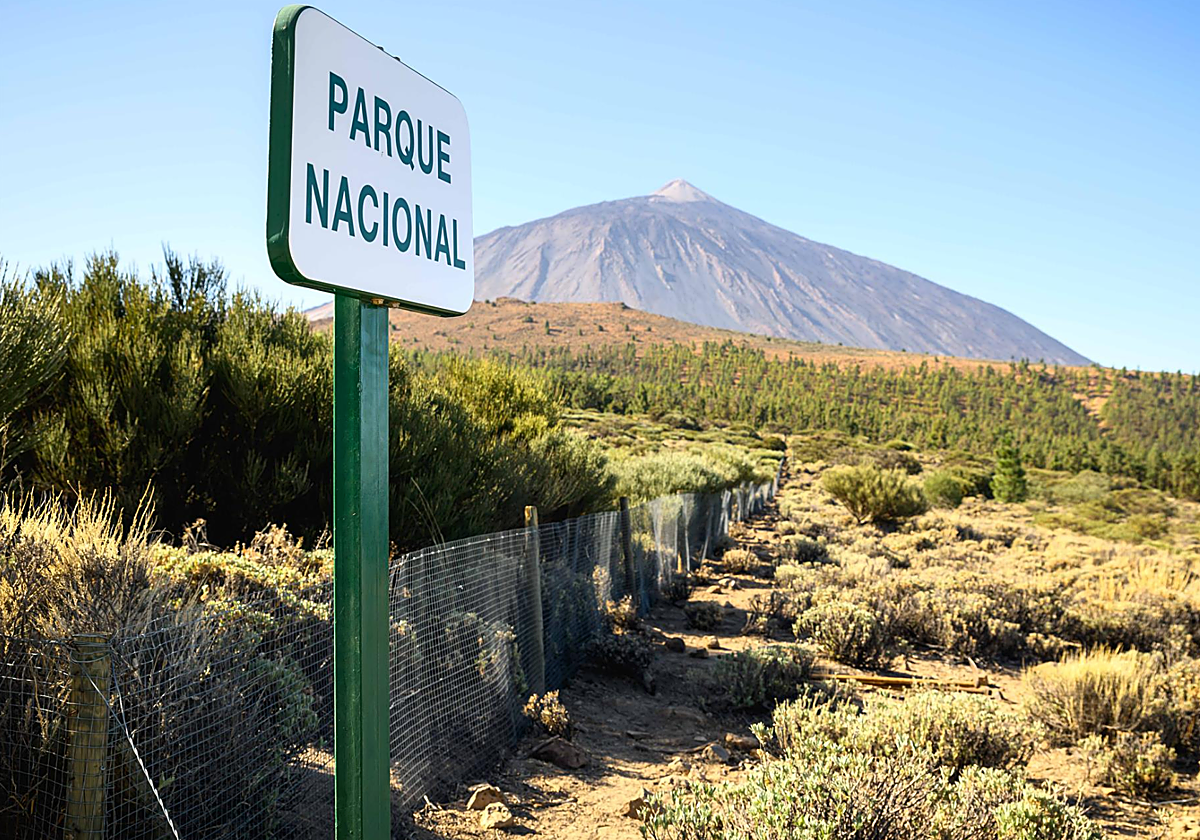Parque Nacional del Teide