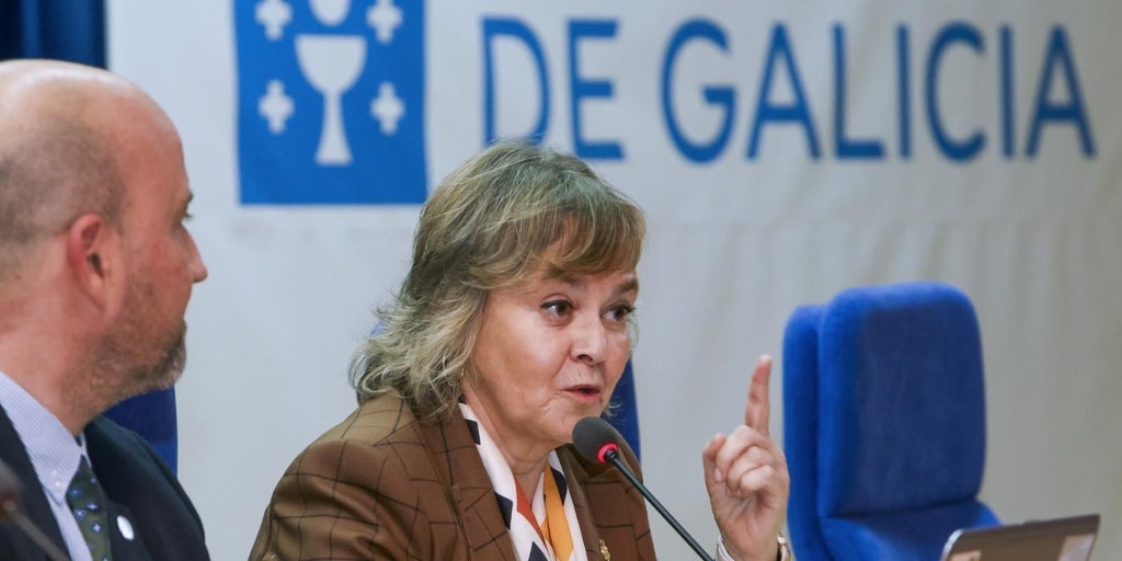 La fiscal jefa Antidroga de la Audiencia Nacional:  «Hay que pensar en una reacción de Estado contra el crimen organizado»