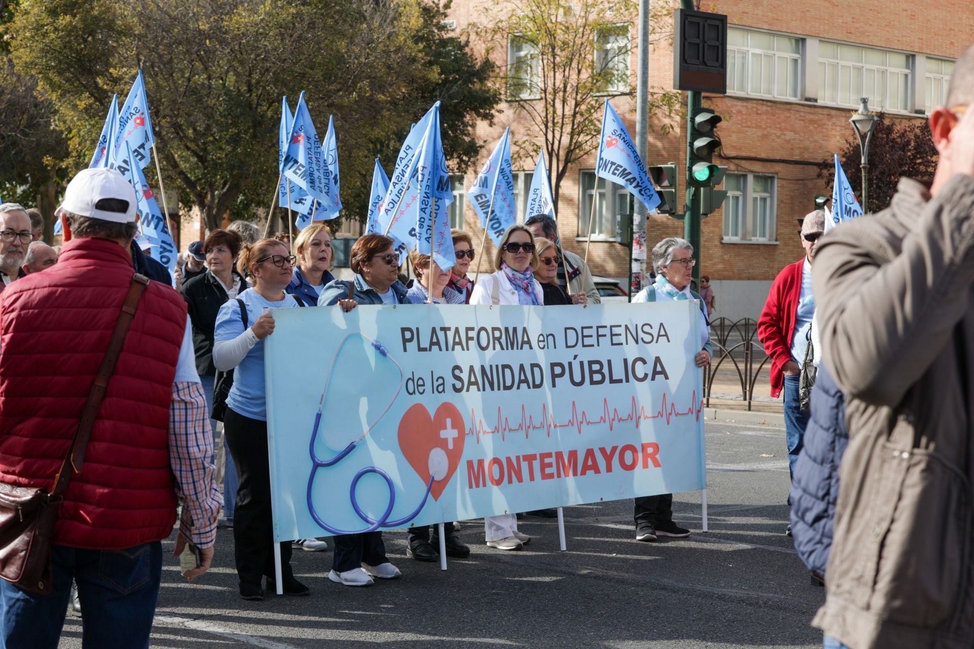 La manifestación por la sanidad pública en Córdoba, en imágenes