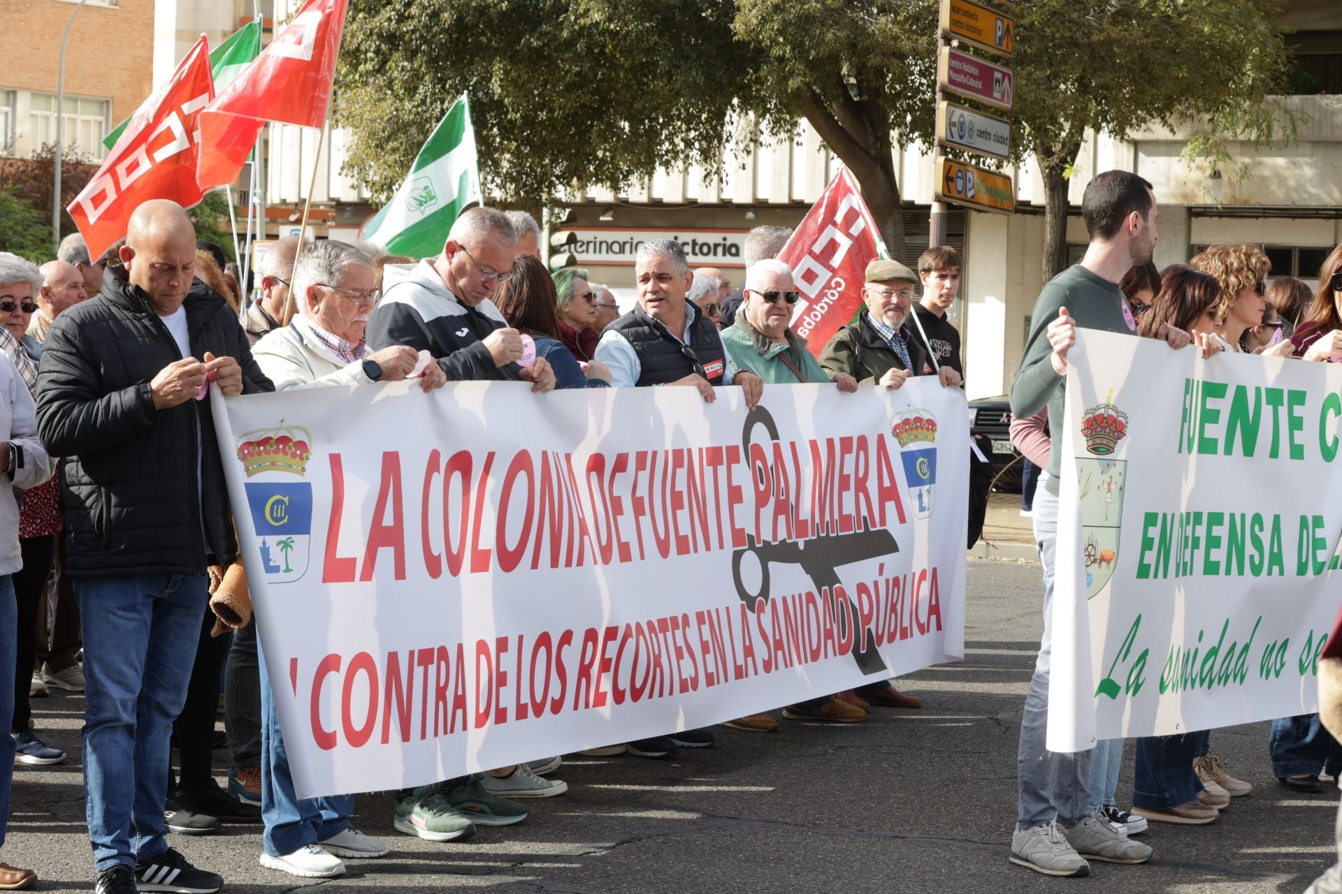 La manifestación por la sanidad pública en Córdoba, en imágenes