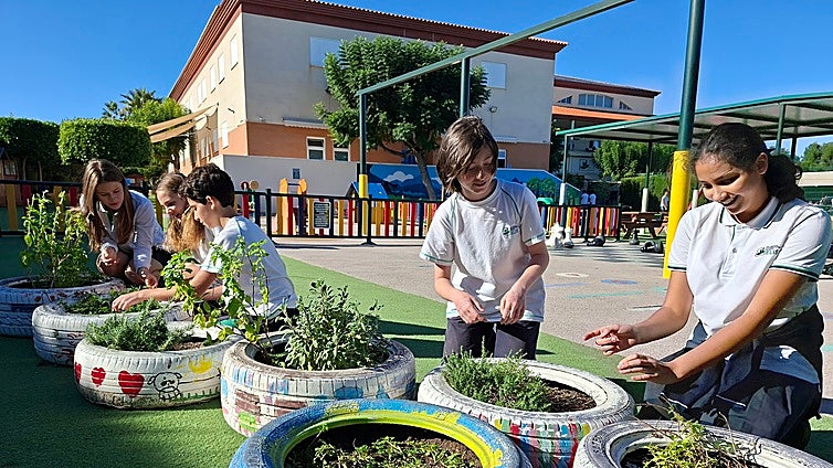 Alumnos de Alicante toman la iniciativa para combatir el cambio climático desde las aulas