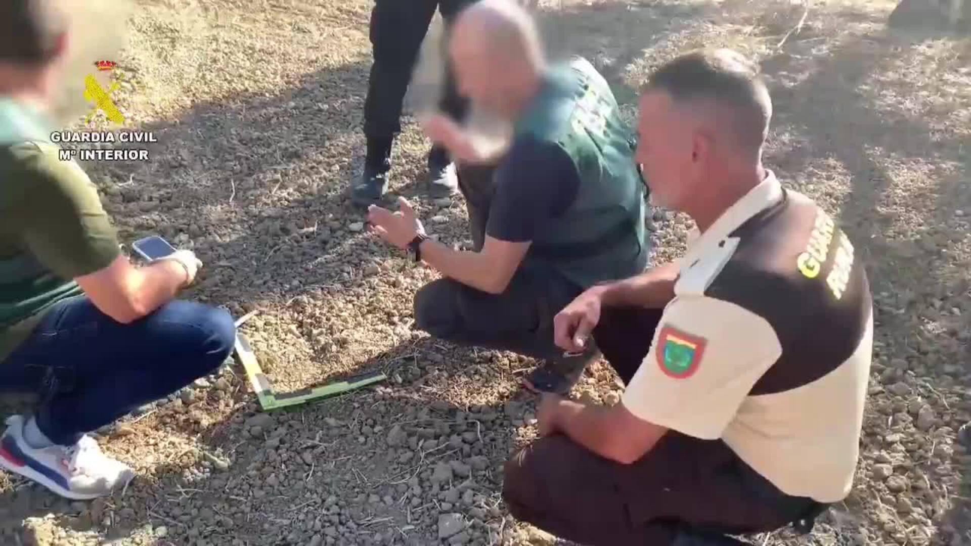 Dos detenidos y dos investigados por robar tres toneladas de aceitunas