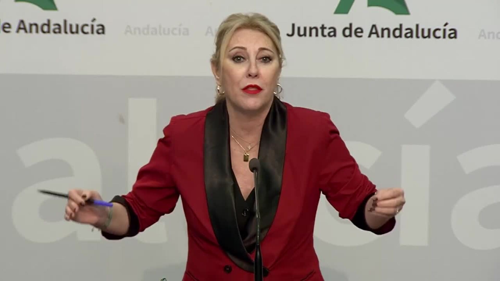 La Junta critica los &quot;bulos&quot; sobre que hay &quot;privatización&quot; de la sanidad en Andalucía