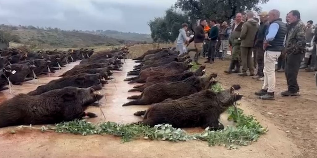 Montería y Halloween, la vida de lujo del socio de Aldama