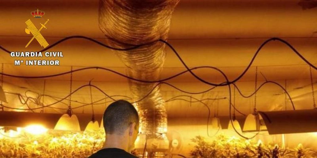 El coronel Clemente avisa de la existencia de 'puntos calientes' de cultivo y tráfico de marihuana en la provincia de Córdoba