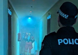 Mueren un perro y tres gatos en el incendio de una vivienda en Palencia