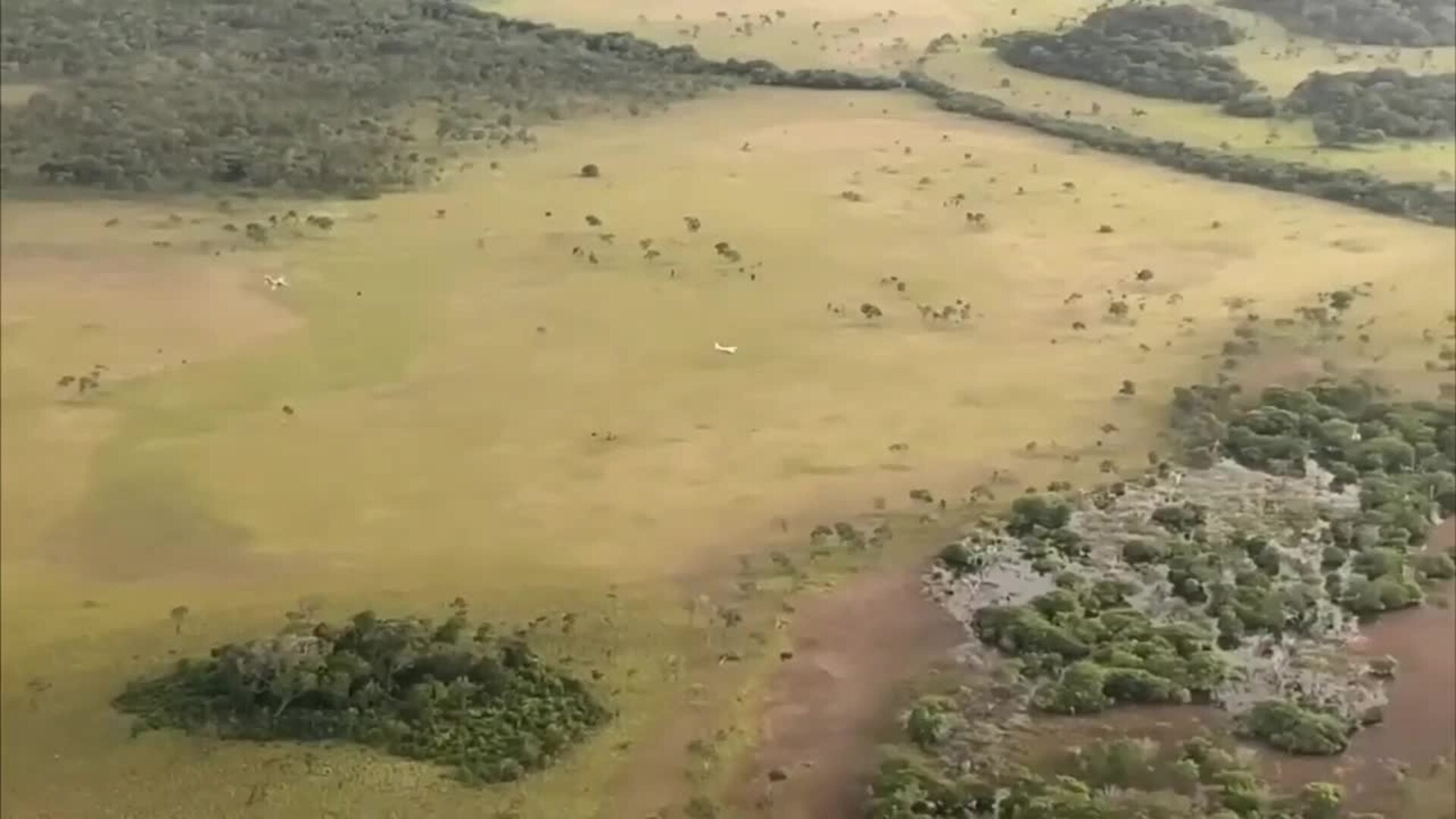 La Fuerza Armada venezolana intercepta aeronave que ingresó al territorio sin autorización