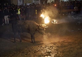 La Junta inicia el procedimiento para declarar BIC al Toro Jubilo de Medinaceli