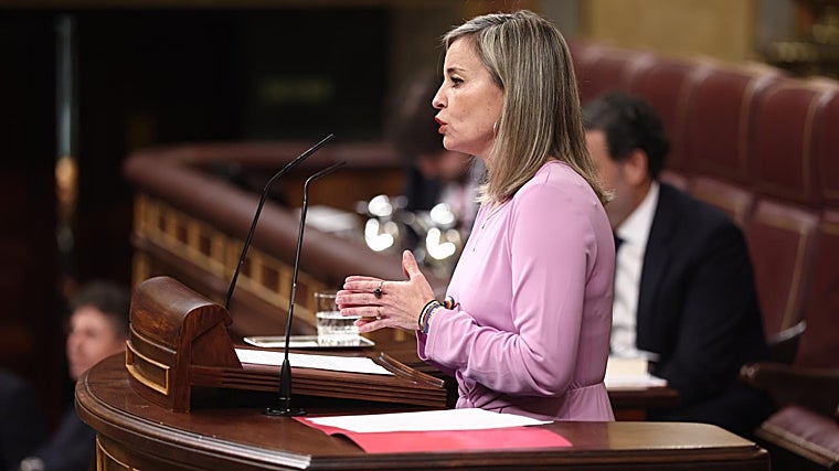 Barbero, portavoz de Sumar en el Congreso