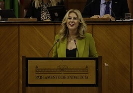 La consejera de Economía, Carolina España, durante su intervención en el pleno