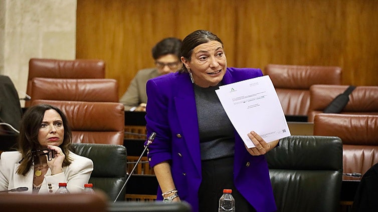 La Junta de Andalucía muestra los informes de las profesionales que denuncian el fallo informático de VioGén2