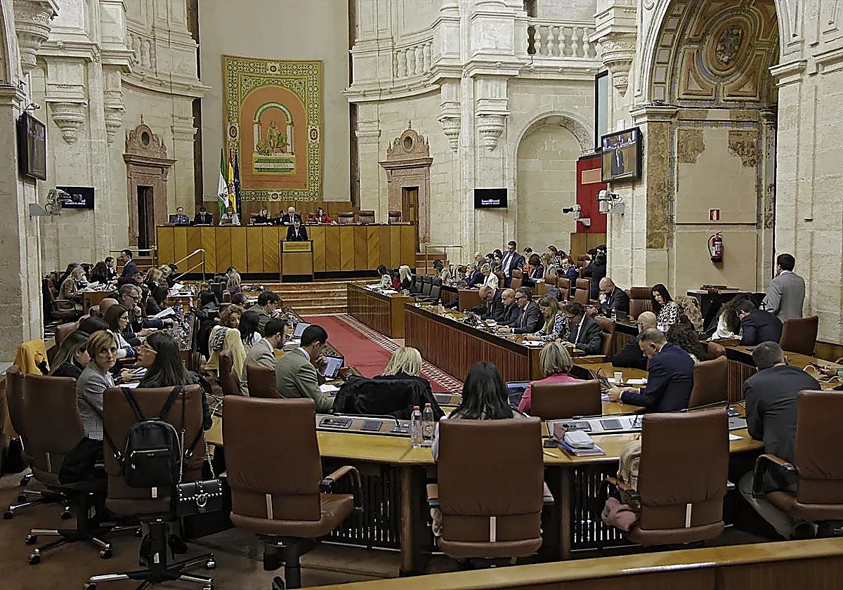 El Parlamento de Andalucía reclama al Gobierno central «solución urgente» a las «graves incidencias» en VioGén