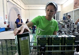 Las exportaciones crecen en Córdoba un 8,4%, marcan récord y esquivan los aranceles de EE.UU.