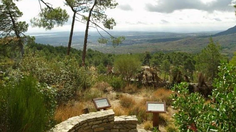 La ruta de senderismo de Madrid a la que se puede ir sin necesidad de coche: dónde está y cómo llegar